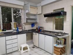 Serangoon Garden Estate (D19), Terrace #574089421